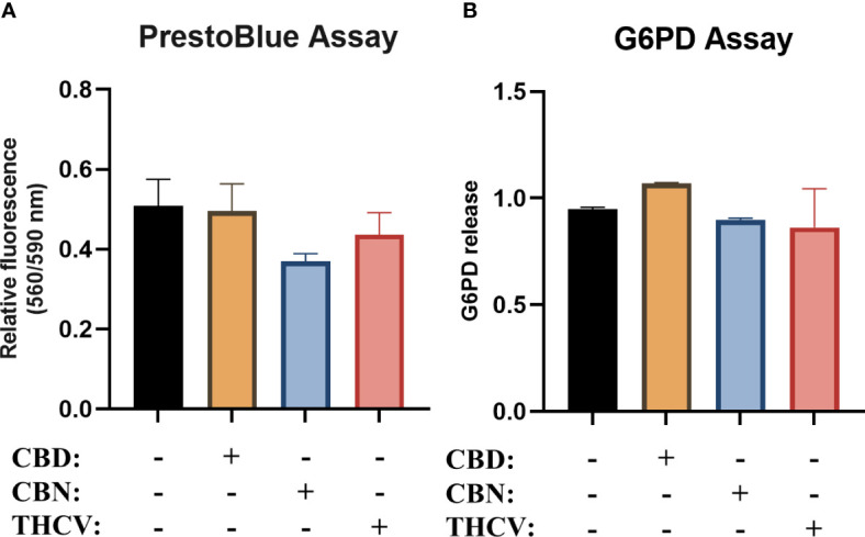 Non-psychotropic pCBs do not decrease viability of moDCs. Monocytes were cultured in the presence of GM-CSF and IL-4 for five days to generate moDCs in the presence of 10 µM CBD, CBN, THCV or vehicle (0.1 v/v% absolute ethanol). Determination of moDCs viability by PrestoBlue Assay (A) and glucose-6-phosphate dehydrogenase (G6PD) release assay (B). N≥3, mean ± SD. CBD: (-)-cannabidiol, CBN: (-)-cannabinol, THCV: (-)-Δ9-tetrahydrocannabivarin.