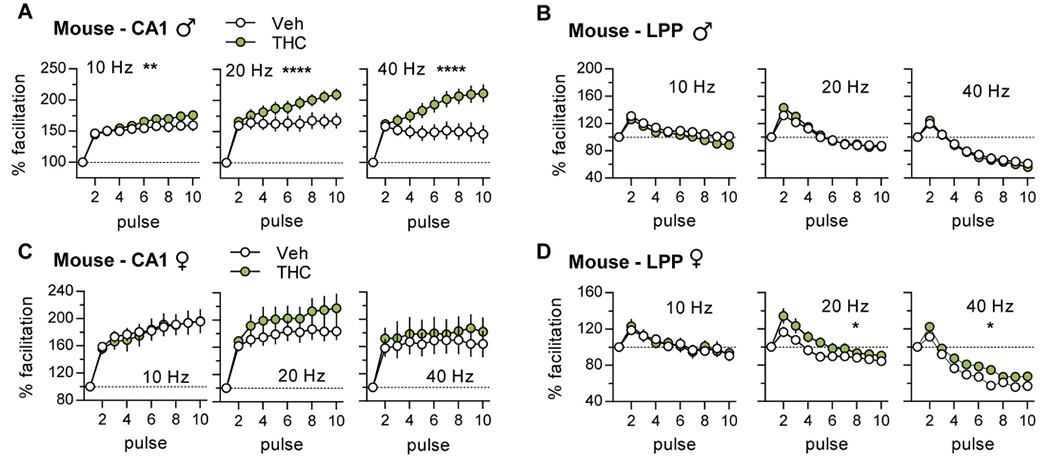 Adolescent THC (aTHC) treatment enhanced frequency facilitation (FF) of S—C (CA1) projections in male mice. Ten pulse trains of 10, 20, or 40 Hz stimulation were applied to S—C or LPP systems and initial fEPSP slopes were normalized to the first response. (A) For males, S—C FF was greater at all frequencies for aTHC vs Vehicle (Veh) groups (10 Hz: **p = 0.002, F(9,108) = 3.20; 20 Hz: ****p < 0.0001, F(9,108) = 5.76; 40 Hz: ****p < 0.0001, F(9,108) = 9.59, N = 7/group). (B) For male LPP, FF was comparable between Veh- and aTHC-treatment groups (10 Hz: p = 0.13, F(9,117) = 1.56; 20 Hz: p = 0.08, F(9,108) = 1.76; 40 Hz: p = 0.94, F(9,117) = 0.39, Veh N = 8, THC N = 6–7). (C,D) Among females, aTHC did not alter S—C FF (C; 10 Hz: p = 0.99, F(9,108) = 0.22, N = 14/group; 20 Hz: p = 0.31, F(9,108) = 1.20, Veh N = 11, THC N = 13; 40 Hz: p = 0.98, F(9,108) = 0.26, N = 7/group), but enhanced LPP FF with 20 and 40 Hz stimulation (D; 10 Hz: p = 0.74, F(9,90) = 0.67; 20 Hz: *p = 0.02, F(9,90) = 2.3; 40 Hz: *p = 0.049, F(9,90) = 1.99, N = 6/group). N denotes slices per group; mean ± SEM values shown. Statistics used RM-ANOVA (Interaction). Raw values for these datasets are presented in Suppl. Figs. 1,2.