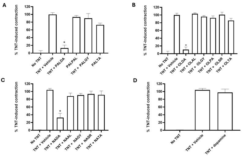 The impact of different head groups on the effects of N-acyl amide derivatives on RPE cell-mediated matrix contraction. Primary cultures of human RPE cells were plated on collagen gel matrices and treated with the vehicle or an N-acyl amide derivative plus TNT (combined TGF-β2 + TNF-α, each at 10 ng/mL) for 72 h. Gels were released from the plate and allowed to contract for 4 h. (A) shows the effects of N-palmitoyl amide derivatives: N-palmitoyl dopamine (PALDA), N-palmitoyl glycine (PALGY), N-palmitoyl phenylalanine (PALPA), and N-palmitoyl taurine (PALTA). (B) shows the effects of N-oleoyl amide derivatives: N-oleoyl dopamine (OLDA), N-oleoyl alanine (OLAL), N-oleoyl serine (OLSR), N-oleoyl glycine (OLGY), N-oleoyl phenylalanine (OLPA), and N-oleoyl taurine (OLTA). (C) shows the dose–response curve of N-arachidonoyl amide derivatives: N-arachidonoyl dopamine (NADA), N-arachidonoyl L-alanine (NAA), N-arachidonoyl glycine (NAG), N-arachidonoyl serine (NAS), and N-arachidonoyl taurine (NAT). (D) shows the effects of dopamine alone, without the acyl side chain. Data are presented as mean ± SEM. * Significantly different from TNT alone, one-way ANOVA with Dunnett’s post-test (p < 0.05).