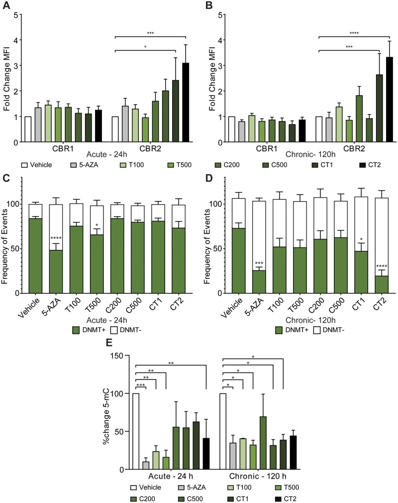 Assessment of in vitro exposure of phytocannabinoids in naive GCs on cannabinoid receptors, DNA methylating enzymes and global DNA methylation. (A) Median fluorescence intensity (MFI) of cannabinoid receptor 1 (CBR1) and 2 (CBR2) on the cell surface of granulosa cells following treatment with phytocannabinoids in vitro for 24 h (n = 8), (B) MFI of CBR1 and CBR2 following 120 h treatment (n = 8), (C and D) frequency of events either positive (DNMT+) or negative (DNMT−) for DNMT3b expression in granulosa cells following treatment with PCs in vitro for (C) 24 h (n = 8) or (D) following 120 h treatment (n = 8), (E) percent change in global DNA methylation from vehicle treated control following 24 h and 120 h treatments of GCs in vitro (n = 4). Cells were treated with: vehicle control; 5-Azacytidine (5-AZA, 1 µM), a demethylating agent; Δ9-THC (T, 100 ng/ml and 500 ng/ml); 11-COOH-THC (C, 200 ng/ml and 500 ng/ml); CT (combined treatment) 1, 25 ng/ml Δ9-THC + 5 ng/ml 11-OH-THC + 50 ng/ml 11-COOH-THC; or CT2, 100 ng/ml Δ9-THC + 50 ng/ml 11-OH-THC + 200 ng/ml 11-COOH-THC. Error bars depict standard error. Significance was determined using two-way ANOVA with Bonferroni’s multiple comparisons test, *P < 0.05, **P < 0.01, ***P < 0.001, ****P < 0.0001.