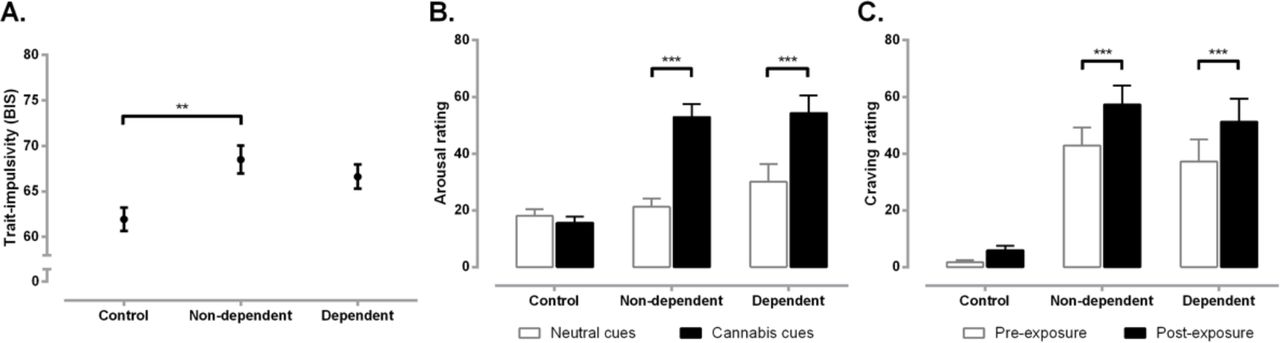 Self-reported trait impulsivity, arousal and cannabis craving in the groups. (A) Both groups of users reported higher trait impulsivity, (B) increased arousal for the cannabis cues, as well as (C) increased cannabis craving after cue-exposure than controls. Mean and standard errors (SEM) are displayed. ** and *** denote relevant significant post-hoc differences at pbonferroni < 0.01 (A) and pbonferroni < 0.001 (B and C).
