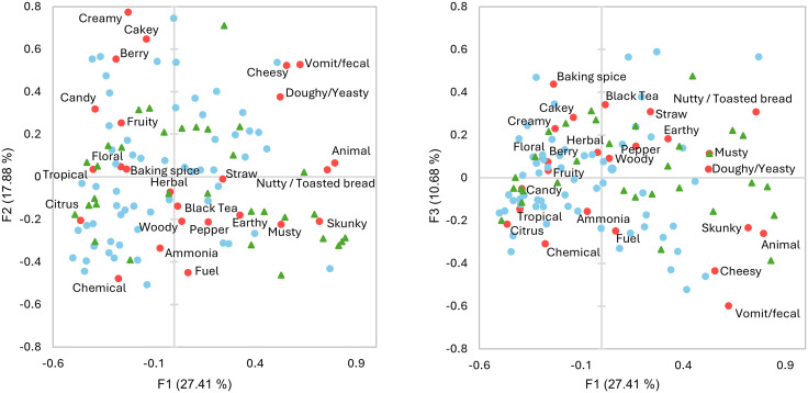 Correspondence analysis biplot of type I and type III sensory spaces with type I shown in green, type III shown in blue, and sensory attributes shown in red.
