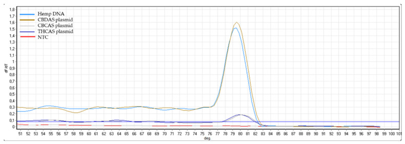 Melting curve plots, which display data collected during a melting curve stage with primers CBCAS_F and CBCAS_R. Peaks in the melting curve may indicate the melting temperature (Tm) of a target or identify nonspecific PCR amplification. No peaks were seen for the no template control (H2O) and for negative controls (THCAS plasmid, CBDAS plasmid).