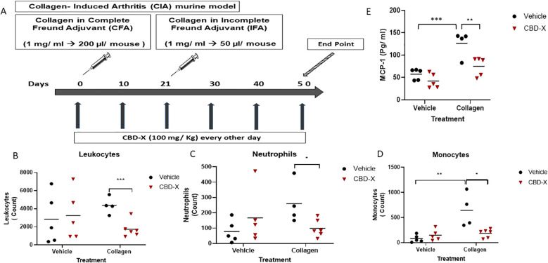 Chart A shows IL-1β levels in various treatments: PBS, LPS, and LPS with CBD-X (1 and 2 µg/ml). LPS significantly increases IL-1β compared to others. Chart B compares DMSO and CBD-X effects on cytokines IL-8, IL-6, and TNF-α, showing significant reductions with CBD-X. Asterisks indicate statistical significance.