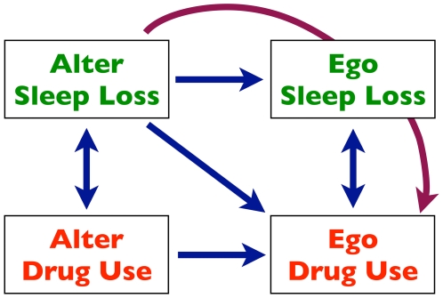 Summary of results.Blue arrows indicate significant direct relationships, while the purple arrow indicates the only mediation relationship that was found to be significant between alter sleep behavior and ego drug use. Arrows from alter to ego are directional because the statistical evidence suggests that at least some of the associations result from a causal relationship.