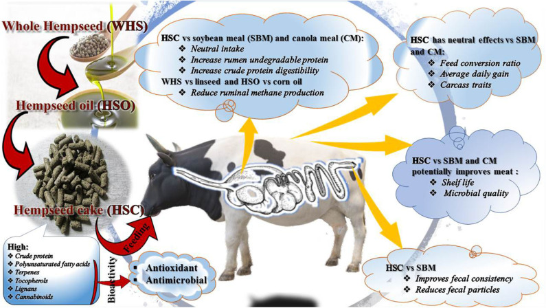 Valorisation of hemp by-products nutrients and bioactive compounds in ruminants.