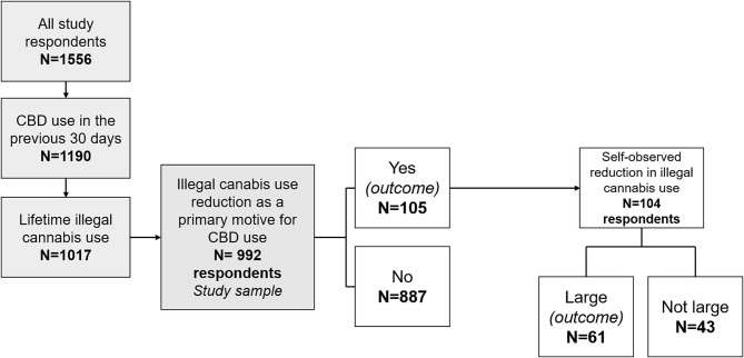 Flow chart of the study, design of the regression outcomes, and distribution of participants according to the two study outcomes. CBD, cannabidiol.