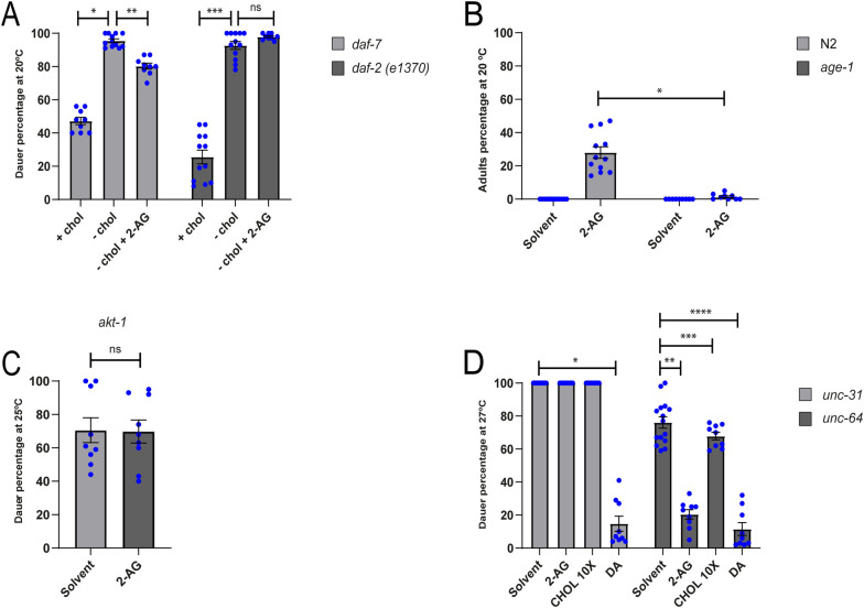 DAF-2 and UNC-31 are required for 2-AG-dependent cholesterol mobilization.(A) daf-7 and daf-2(e1370) were grown at 20°C either in cholesterol or in a sterol-free media during one generation. When indicated the media was supplemented with either 13 μM cholesterol or 50 μM 2-AG. All Pairwise are Multiple Comparison Procedures (Dunn’s Method), *p < 0.05. **p < 0.05. ***p < 0.05. All values are from n ≥ 3 independent experiments shown as Mean ± SEM. ns = not significant. (B) N2 and age-1 were grown for two generations in media with 0 μg/ml cholesterol at 20°C. Mann-Whitney rank sum test, *p < 0.001. All values are from n ≥ 3 independent experiments shown as Mean ± SEM. (C) akt-1 was grown in media with 0 μg/ml cholesterol during one generation at 25°C. All values are from n = 3 independent experiments shown as Mean ± SEM. ns = not significant. (D) 2-AG is unable rescue the daf-c phenotype of unc-31 grown at 27°C. All Pairwise are Multiple Comparison Procedures (Dunn’s Method), *p < 0.05. All Pairwise are Multiple Comparison Procedures (Holm-Sidak method), **p < 0.05. ***p < 0.05. ****p < 0.05. All values are from n ≥ 3 independent experiments shown as Mean ± SEM. N2 is the C. elegans wild-type strain.