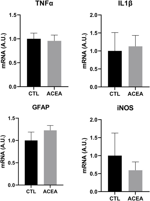 qRT-PCR of TNFα, IL1β, GFAP and iNOS from retinas of ACEA-treated eyes and their respective CTL. Means and standard deviations are shown.