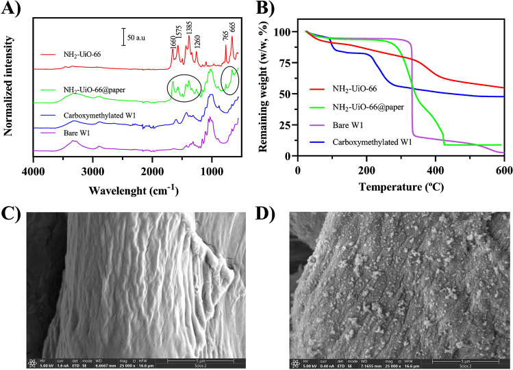 Characterization of the paper devices. A FTIR spectrum of NH2-UiO-66@paper from 4000 to 500 cm−1; B TGA analysis up to 600 °C; SEM images from C bare paper and D NH2-UiO-66@paper