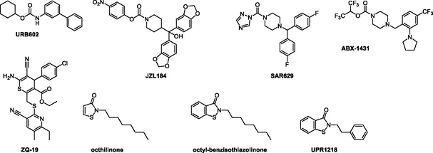 Structures of representative MGL inhibitors.
