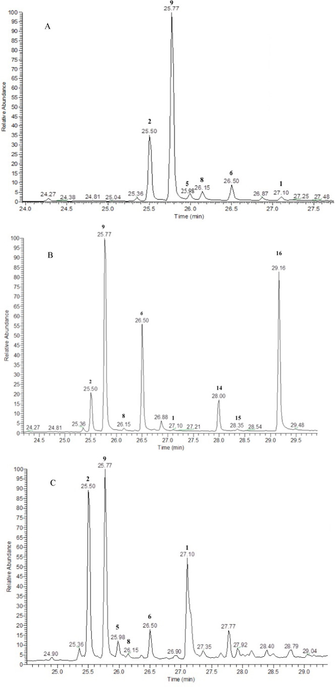 (A) GC-MS chromatogram of 1.27 × 10–3 M CBD (2) in MeCN irradiated for 50 min (λ = 254 nm). The main photoproducts detected are Δ8-iso-THC (9, 39.7% yield, tR 25.77 min), DHD (5, 2.7% yield, tR 25.98 min), HHC (8, 4.3% yield, tR 26.15 min), Δ7-CBD (6, 7.2% yield, tR 26.5 min), Δ9-THC (1, 2.4% yield, tR 27.1 min). (B) GC-MS chromatogram of 1.27 × 10–3 M CBD (2) in MeOH irradiated for 50 min (λ = 254 nm). The main photoproducts detected are Δ8-iso-THC (9, 35.9% yield, tR 25.77 min), HHC (8, 2.0% yield, tR 26.15 min), Δ7-CBD (6, 18.3% yield, tR 26.5 min), Δ9-THC (1, 1.3%, yield, tR 27.1 min), MeO-CBE (14, 7.0% yield, tR 28.0 min), α-MeO (15, 0.6% yield, tR 25.35 min), β-MeO (16, 25.0% yield, tR 29.16 min). (C) GC-MS chromatogram of 1.27 × 10–3 M CBD (2) in hexane irradiated for 50 min (λ = 254 nm). The main photoproducts detected are Δ8-iso-THC (9, 24.4% yield, tR 25.77 min), DHD (5, 5.9% yield, tR 25.98 min), HHC (8, 1.6% yield, tR 26.15 min), Δ7-CBD (6, 6.2% yield, tR 26.5 min), Δ9-THC (1, 11.3% yield, tR 27.1 min). It should be noticed that the peaks at tR 26.88 min (in chromatogram A) and 27.22 (in chromatogram C) were not identified either with the available libraries or by comparison of the synthesized standards.