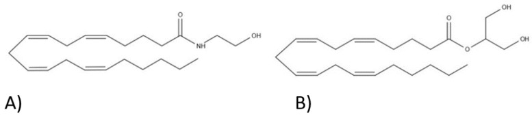 Endocannabinoid structures: (A) anandamide and (B) 2-arachidonoylglycerol.