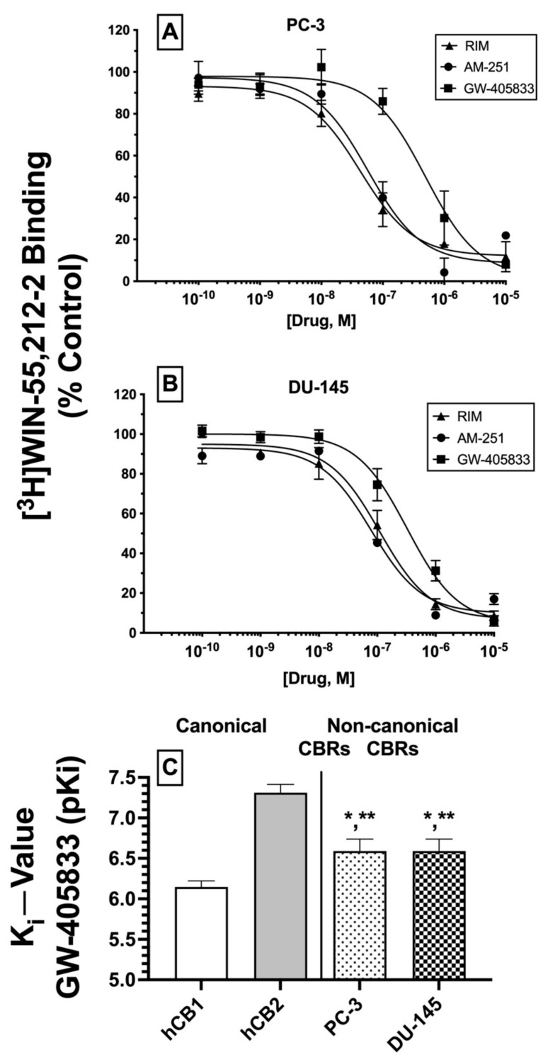Competition receptor binding curves: three cannabinoids exhibit high nM affinity (Ki) for non-canonical CBRs expressed in prostate cancer cell membranes. Increasing concentrations (10−10 to 10−5 M) of cannabinoid ligands producing the greatest displacement of [3H]WIN-55,212-2 (as shown in Figure 4A,B; rimonabant, AM-251 and GW-405833), were co-incubated with [3H]WIN-55,212-2 (1 nM) in PC-3 (A) and DU-1453 (B) membranes. (C) Affinity (Ki values) of GW-405833 was compared between canonical CBRs expressed in CHO-hCB1 and CHO-hCB2 cells (left panel) and CBRs expressed in PC-3 and DU-145 membranes (right panel). IC50 values derived from binding curves converted to Ki values via the Cheng–Prusoff equation [35] (Table 1). Data for each concentration represent the mean ± SEM of data collected from a minimum of three experiments, with each data point conducted in triplicate for each experiment. Significantly different from Ki values for canonical hCB1 and hCB2 receptors, respectively (unpaired t-test, * p < 0.05, ** p < 0.001).