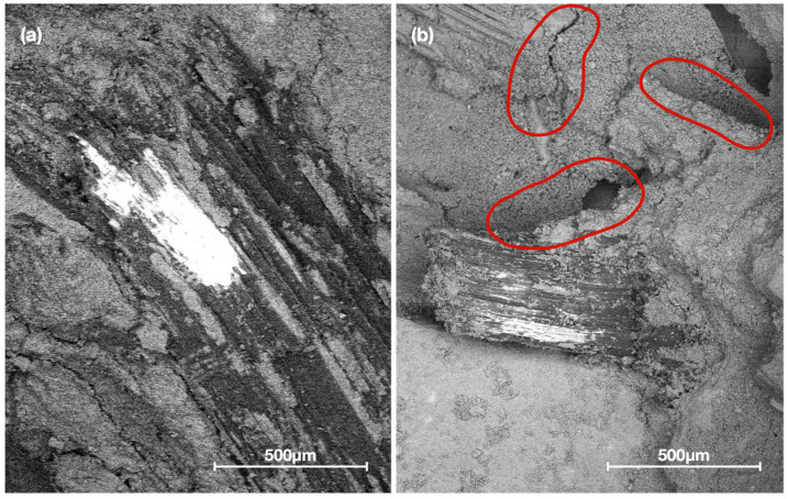 SEM micrographs of plant-based concrete. (a) Plant-based concrete with hornification treatment. (b) Plant-based concrete with untreated aggregate showing the detachment between bioaggregate and matrix.