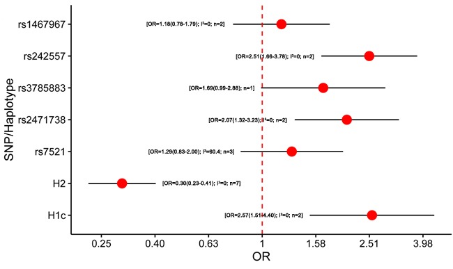 Results of the meta-analysis for five htSNPs, H2 haplotype and H1c subhaplotype in corticobasal degenerationAbbreviations: OR, odds ratio; SNP, single nucleotide polymorphism; I2, the heterogeneity calculated by the Cochran Q test; n, the number of included studies.