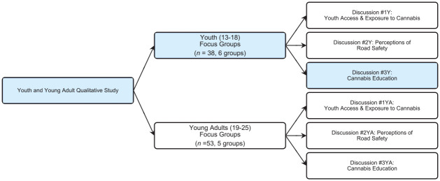 Focus group facilitation flowchart.Note. Y = youth; YA = young adult. Identified themes in the present qualitative study are from a larger series of discussions with youth, therefore, the shaded cells identify which focus groups and discussion topics are explored herein.