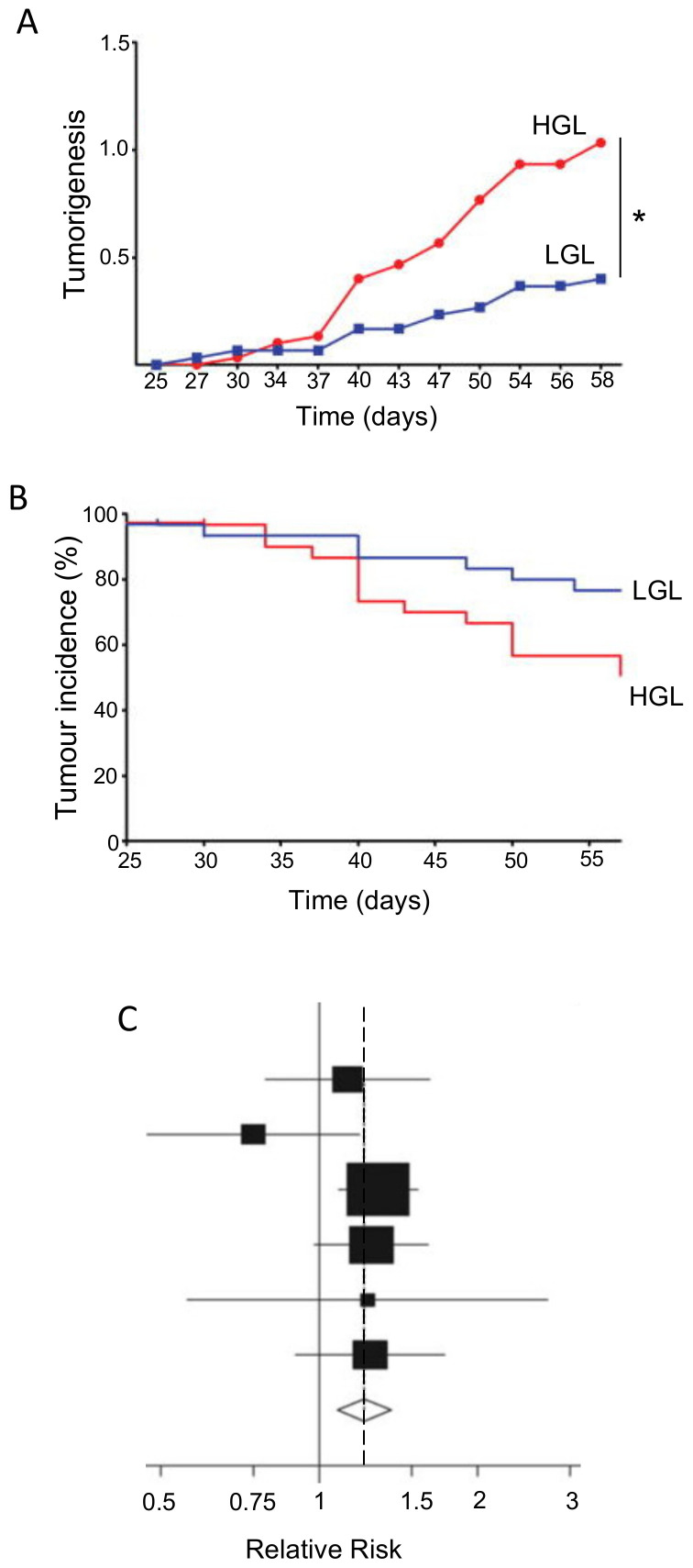 Effects of glycemic load on tumorigenesis. (A,B) Effects of diet with high or low glycemic load (HGL and LGL, respectively) on a rat carcinogenic model of breast cancer. (A) Effect on tumorigenesis, evaluated as the number of palpable tumors for each rat. LGL versus HGL was associated with a reduction in tumorigenesis by some 60% at the end of the experiment (p = 0.03). Time is from the start of carcinogenic treatment. (B) Data showing effect of glycemic load on tumor incidence (quantified as the percentage of cancer-free rats). Final cancer incidence was reduced by some 50% in LGL versus HGL (p = 0.03) (*). Time is from the start of carcinogenic treatment. (C) Meta-analysis of pancreatic cancer risk associated with intake of fructose. The vertical line (relative risk = 1) denotes no risk. Diamond indicates the average and the spread of the data (vertical dotted line denotes the average position). In each case, (i) the size of the square is a measure of the ‘weight’ of the study (defined as the inverse of the variance) and (ii) horizontal lines represent confidence intervals. (A,B) modified from Thompson et al. [108]; (C) modified from Aune et al. [112], where further details can be found.