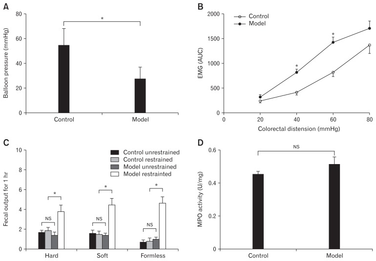 The establishment of the irritable bowel syndrome rat model. (A) The levels of nociceptive visceral hypersensitivity were significantly elevated (*P < 0.05, t test). (B) Electromyographic (EMG) activity was higher in model rats compared to the control group, especially at colorectal distention of 40 mmHg and 60 mmHg (*P < 0.05, t test). (C) The restraint stress-induced defecation test showed that the amount of formless stool in the model restrained group was significantly larger among all groups (*P < 0.05, ANOVA), while the difference between the control unrestrained group, control restrained group and model unrestrained group was not statistically significant (NS, ANOVA and least significant difference). (D) The myeloperoxidase (MPO) activities were no different compared to the control group (NS, t test). AUC, area under the curve.