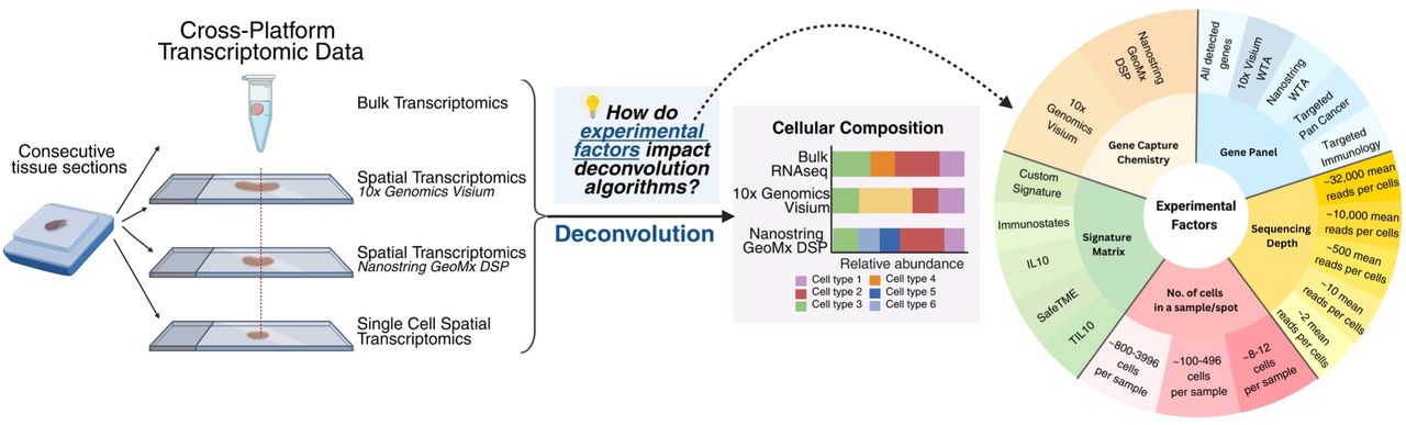 Scientific figure