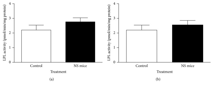 Lipoprotein lipase activity in adipocytes of epididymal fat pads from fasting (a) and nonfasting (b) adult control and NS mice. No significantly different values (Mann–Whitney U test; mean ± SEM; n=5 mice/group).