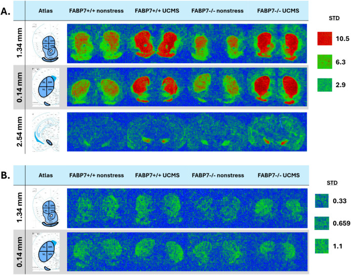 Representative autoradiography images of dopamine receptor binding densities taken at three bregma points (mm). Colorized images from each group and outlined regions of interest are adopted from the Franklin and Paxinos Mouse Brain Atlas, 3rd edition [44]. (A) [3H] SCH23390 binding; (B) [3H] Spiperone