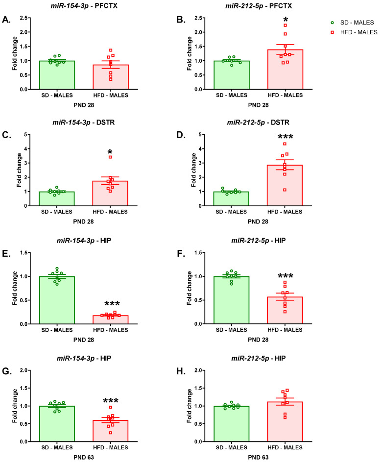 Effects of a maternal HFD during pregnancy and lactation on the levels of miR-154-3p and miR-212-5p in the (A), (B) PFCTX, (C), (D) DSTR, and (E), (F) HIP of adolescent offspring and in the (G), (H) HIP of young adult offspring. DSTR—dorsal striatum; HFD—high-fat diet; HIP—hippocampus; PFCTX—prefrontal cortex; PND—postnatal day; SD—standard diet. Data are presented as the mean ± SEM with individual value plots. N = 8 rats/group. * p < 0.05; *** p < 0.001 vs. SD.