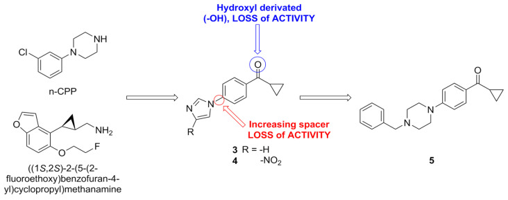 Development overview of azo-linked compounds.