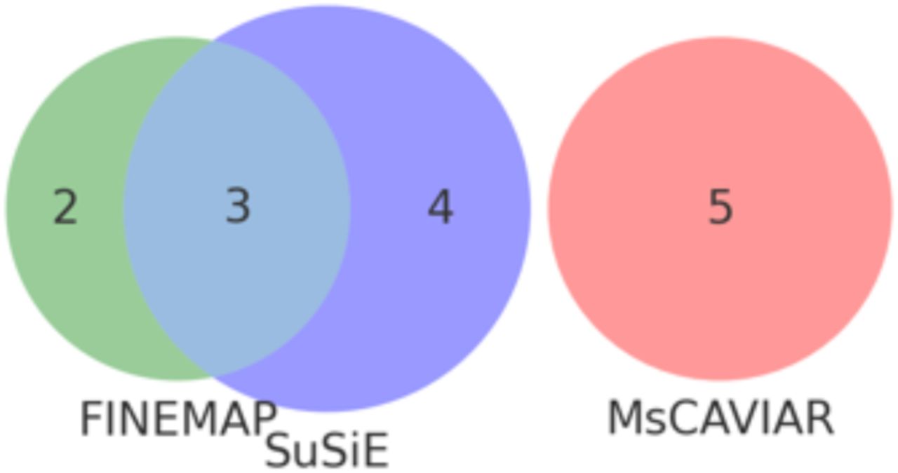 Fine-mapping methods generate distinct and overlapping results on Chromosome 3 (lead GWAS SNP rs631612).Visual of the SNPs identified by three methods in the chromosome 3 ALS GWAS. The size of the Venn diagrams represents the total number of prioritised SNPs identified, coloured by each method; FINEMAP (green), SuSiE (blue) MsCAVIAR (red). Despite using the same GWAS input, only FINEMAP and SuSiE shared prioritised SNPs (n=3).