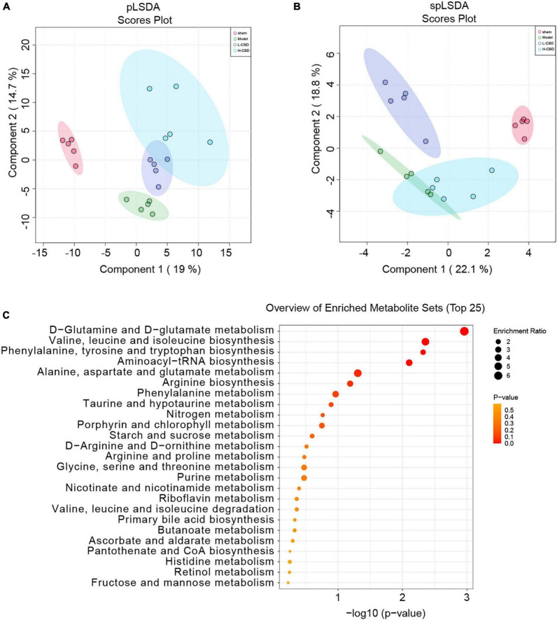 Effects of cannabidiol (CBD) on fecal metabolism in epileptic rats. (A) partial least squares discriminant analysis (pLSDA) analysis. (B) sparse partial least squares discriminant analysis (spLSDA) analysis. (C) Enrichment of the differential metabolic pathways. A color change from yellow to red represents the lower of the P value.
