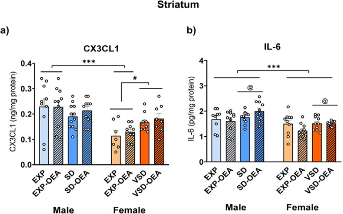 Effects of SD, VSD, and OEA treatment on IL-6 and CX3CL1 striatal levels. Bars represent the mean (± SEM) of the striatal levels (in pg/mg) of (a) the pro-inflammatory cytokine IL-6 and (b) chemokine CX3CL1 levels (in ng/mg). ***p < 0.001, significant difference of male mice with respect to the corresponding female mice. #p < 0.05, significant difference of female EXP mice with respect to female SD mice; @p < 0.05, significant difference of stressed mice (SD/VSD) with respect to EXP mice