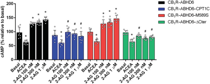 Effect of ABHD6 and CPT1C on the CB1R/cAMP signalling pathway in HEK‐293T cells. cAMP baseline levels in cells expressing CB1R and ABHD6 in combination with CPT1C, M589S, or ΔCter and treated with ACEA and with increasing concentrations of 2‐AG (n = 8). Data shown are means ± SD. *P < 0.05, significantly different from baseline; # P < 0.05, significantly different from corresponding treatment in CB1R‐ABHD6; two‐way ANOVA followed by Bonferroni's post hoc correction