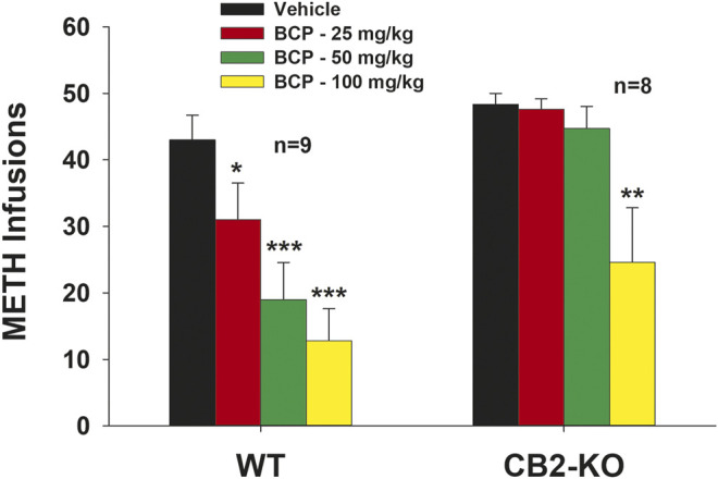 The effects of BCP on METH self-administration under a fixed-ratio 1 (FR1) reinforcement schedule in WT and CB2-KO mice. BCP dose-dependently decreased METH self-administration in WT mice, while only at the very high dose of 100 mg/kg, BCP inhibited METH self-administration in CB2-KO mice. *p < 0.05, **p < 0.01, ***p < 0.001, when compared to the vehicle group.