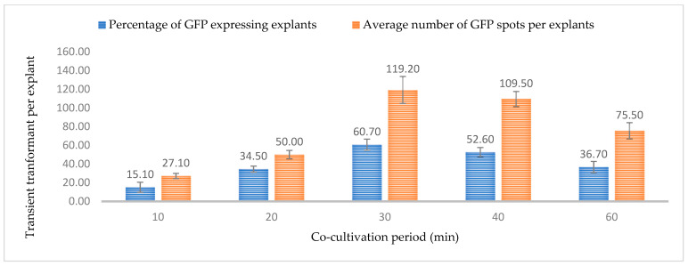 Effect of immersion period on transformation efficiency based on Green Florescent Protein (GFP) expression. Infection frequency was calculated as the percentage of GFP-positive explants from 3-week-old leaves out of the total number of explants examined. The number of GFP foci per explant is the average number of GFP-positive foci in at least three independent explants. The data are represented as means ± standard error (SE). To optimize the individual parameter, each experiment contained 25 to 30 samples and each experiment had 3 replications (n = 75).