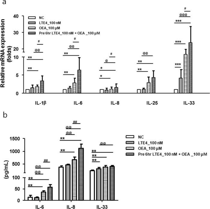 The inflammatory effect of OEA on LTE4-pretreated A549 cells.The cells were treated with LTE4 (100 nM) and OEA (100 μM) for 24 h or were pretreated with LTE4 (100 nM) for 6 h and subsequently treated with OEA (100 μM) for 18 h. a The mRNA expression (IL-1β, IL-6, IL-8, IL-25, and IL-33) and b production of inflammatory cytokines (IL-6, IL-8, and IL-33) was measured by quantitative real-time PCR and ELISA. The data are presented as fold changes compared with the control group (set at 1) and as the means ± SD of three separate experiments performed in duplicate (n = 4–6). P values were analyzed by the Mann–Whitney test. ***P < 0.001, **P < 0.01, *P < 0.05 vs. NC; ##P < 0.01, #P < 0.05 vs. OEA; @@@P < 0.001, @@P < 0.01, @P < 0.05 vs. LTE4.