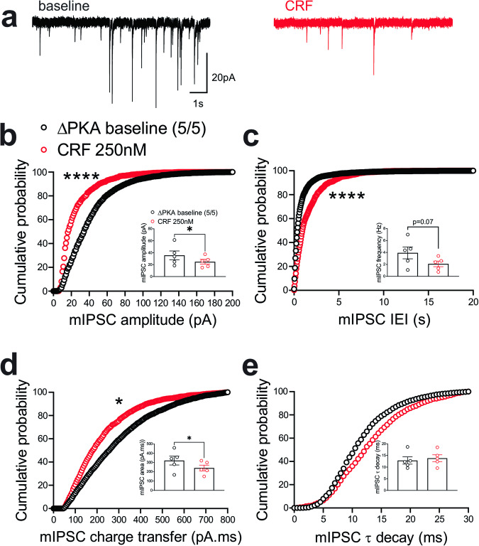 CRF suppressed presynaptic GABA release (to a lesser extent than that of WT) but also postsynaptically depressed GABAergic transmission in the LHb of ΔPKA mice.a Sample GABAAR-mediated mIPSC traces from ΔPKA mouse before (black) and after CRF application (red, 250 nM) (calibration bars: 20 pA/1 s). Average bar graphs of mIPSC and cumulative probability plots of (b) amplitude, (c) frequency (inter-event interval), (d) charge transfer and (e) τ decay for all mIPSCs in ΔPKA mice before (black open symbols) and after CRF (red open symbols) (n = 5 cells from 5 mice). Two-tailed paired Student’s t-tests and Kolmogorov-Smirnov tests, *p < 0.05, ****p < 0.0001.