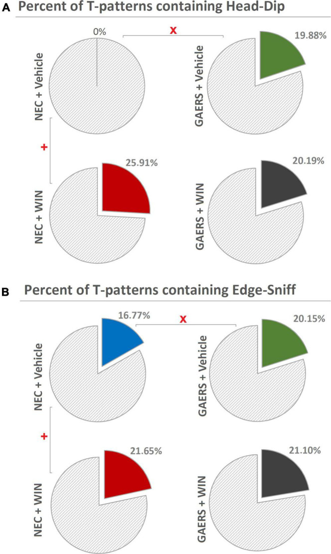Effect of WIN 55,212-2 and its vehicle on the percent distribution of T-patterns containing Head-Dip and Edge-Sniff in GAERS and NEC rats. Administration of WIN 55,212-2 (WIN; 2 mg/kg, IP) and its vehicle affected the percent distribution of T-patterns containing Head-Dip (A) and Edge-Sniff (B) in their sequences during the 10 min of the hole-board test. x = significant (p < 0.05) difference between GAERS Vehicle vs. NEC Vehicle (Chi-Square test). + = significant (p < 0.05) difference between GAERS WIN vs. GAERS Vehicle or between NEC WIN vs. NEC Vehicle (Chi-Square test).