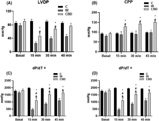 The graphs show (A) left ventricular pressure development (LVDP), (B) coronary perfusion pressure (CPP), (C) maximum value of the first derivative of positive ventricular pressure (+dP/dt max), and (D) first derivative of minimum negative ventricular pressure (−dP/dt min). From isolated hearts in Langendorff system from untreated (IR) rats and rats treated with CBD dose of 5 mg/kg, c/24 h, for 10 days prior to the experiment. Baseline measurements were made before reperfusion and at 15, 30, and 45 min after reperfusion, concluding the experiment at 60 min after reperfusion (n = 6) *p < .05 CBD versus IR