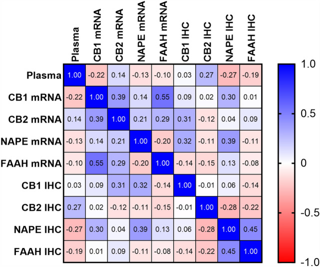 Correlation matrix of plasma AEA concentrations against the transcript (mRNA) and protein (IHC) levels for CB1, CB2, NAPE-PLD or FAAH. Potential relationships between plasma AEA concentrations (plasma), CB1, CB2, NAPE-PLD and FAAH mRNA or CB1, CB2, NAPE-PLD and FAAH H-scores (IHC) are shown with positive correlations depicted in blue and negative correlations depicted in red. The Spearman correlation coefficient (r values) are indicated. Statistically significant and non-significant correlations are presented in Table 2