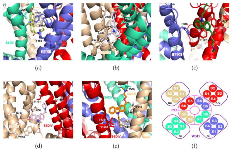Important interaction residues of the NMP compounds with the Cav3.2 channel, (a) NMP-4 in the S6DII site, (b) NMP-7 in the S6DIII site, (c) NMP-181 in the S6-DIII site, (d) NMP-4 in the S5DIV site, and (e) NMP-181 in the Pore-blocking site. In (f), extracellular view diagram as a reference showing the distribution of the transmembrane segments of the Cav3.2 channel situated in the Pore Domain (PD) and in the Voltage Sensing Domain (VSD).