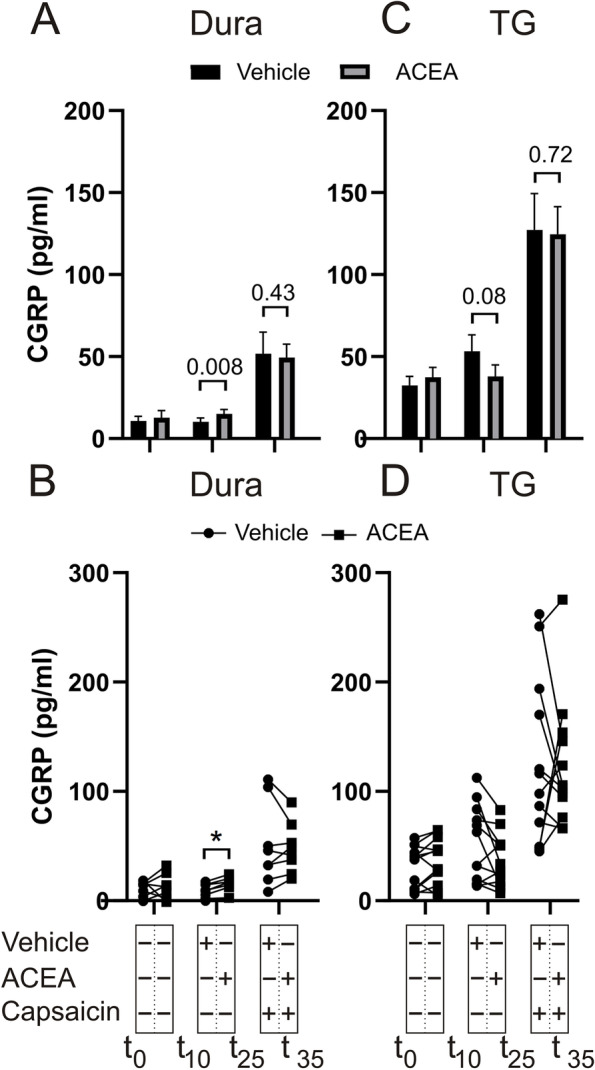 Effects of ACEA on capsaicin-induced CGRP release from dura and TG. Application of 140 nM ACEA caused a significant increase in CGRP release from the dura (n = 8). 100 nM capsaicin caused a significant increase in CGRP release, which was not attenuated by the presence of ACEA. B Graphical illustration of the sample pairing. C Application of 140 nM ACEA had no effect on the CGRP release from the TG per se, nor on the release induced by 100 nM capsaicin (n = 12). D Graphical illustration of the sample pairing. B = baseline. Timeline in minutes are added on the lower panel. Data are shown as mean ± SEM or their individual data points with pairing, and with p values obtained with Student’s T-test being depicted in the graph (* = p < 0.05). For reference 100 pg/ml equals 26.4 pmol/l