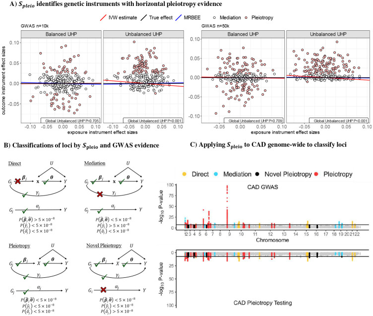 (A): Demonstration of how horizontal pleiotropy IVs are identified in IMRBEE. A global test for balance is performed using statistic Qpleio in Equation 22. An IV-specific test for horizontal pleiotropy is performed using statistic Spleio in Equation 19. IVs represented by red points had a significant Spleio statistic and are considered invalid; white points do not and are considered valid. (B): Classifications of genomic loci by evidence from original GWAS and genome-wide pleiotropy testing using Spleio. Classifications are based on P-values [denoted as P(·)] for testing null hypotheses of equality with 0 for a given parameter in practice. (C): Results from real data analysis, the methods and results for which are more completely described in the Methods and Results sections. MR exposures are height, BMI, uric acid, HDL, LDL, triglycerides, systolic blood pressure, HbA1c, and hemoglobin. The outcome is coronary artery disease (CAD). Classifications are made based on which of the four directed acyclic graphs in Panel B each locus follows.