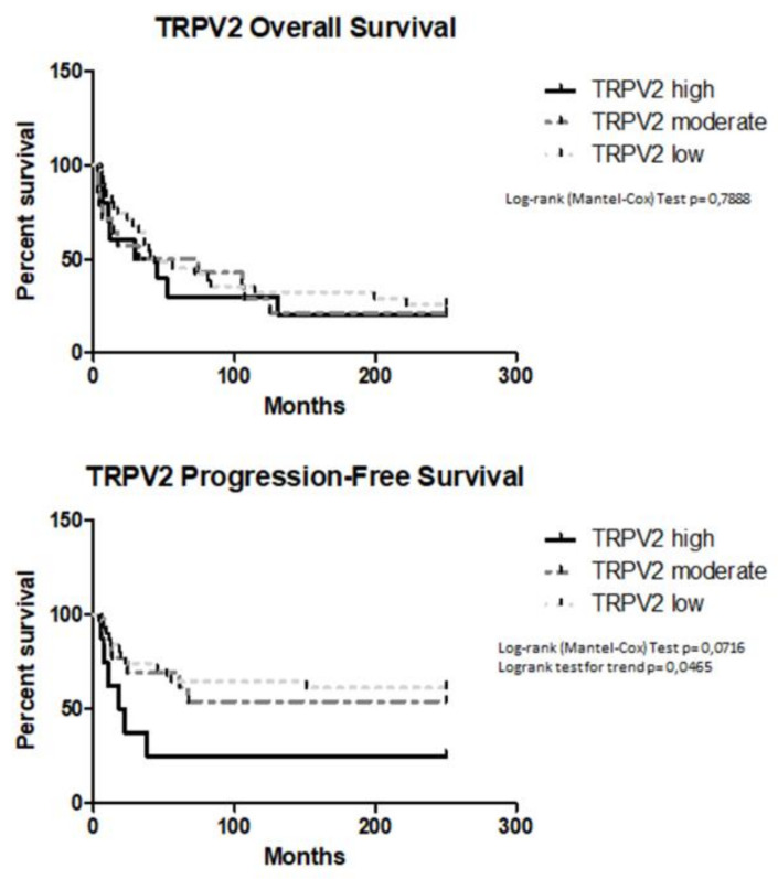 Survival of EC patients according to TRPV2 expression. Kaplan–Meier survival curves showing OS (overall survival) and PFS (progression-free survival) of EC patients. The log-rank test with corresponding P values applies to the TRPV2—high, TRPV2—moderate and TRPV2—low curves.