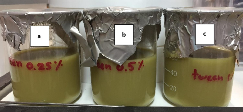 The appearance of cannabis extract emulsions prepared using solvent injection and solvent evaporation techniques with various concentrations of Tween® 80: 0.25% (a), 0.5% (b), and 1% (c).