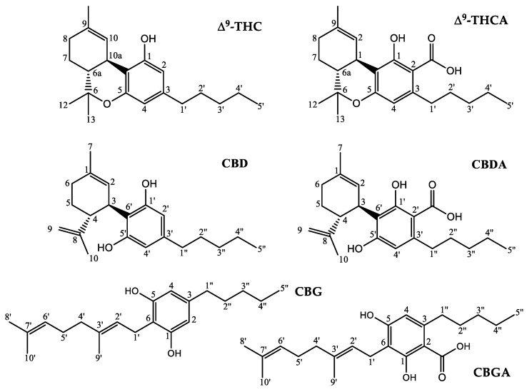 Chemical structure and nuclei numbering of molecular fragments in hemp principal cannabinoids.