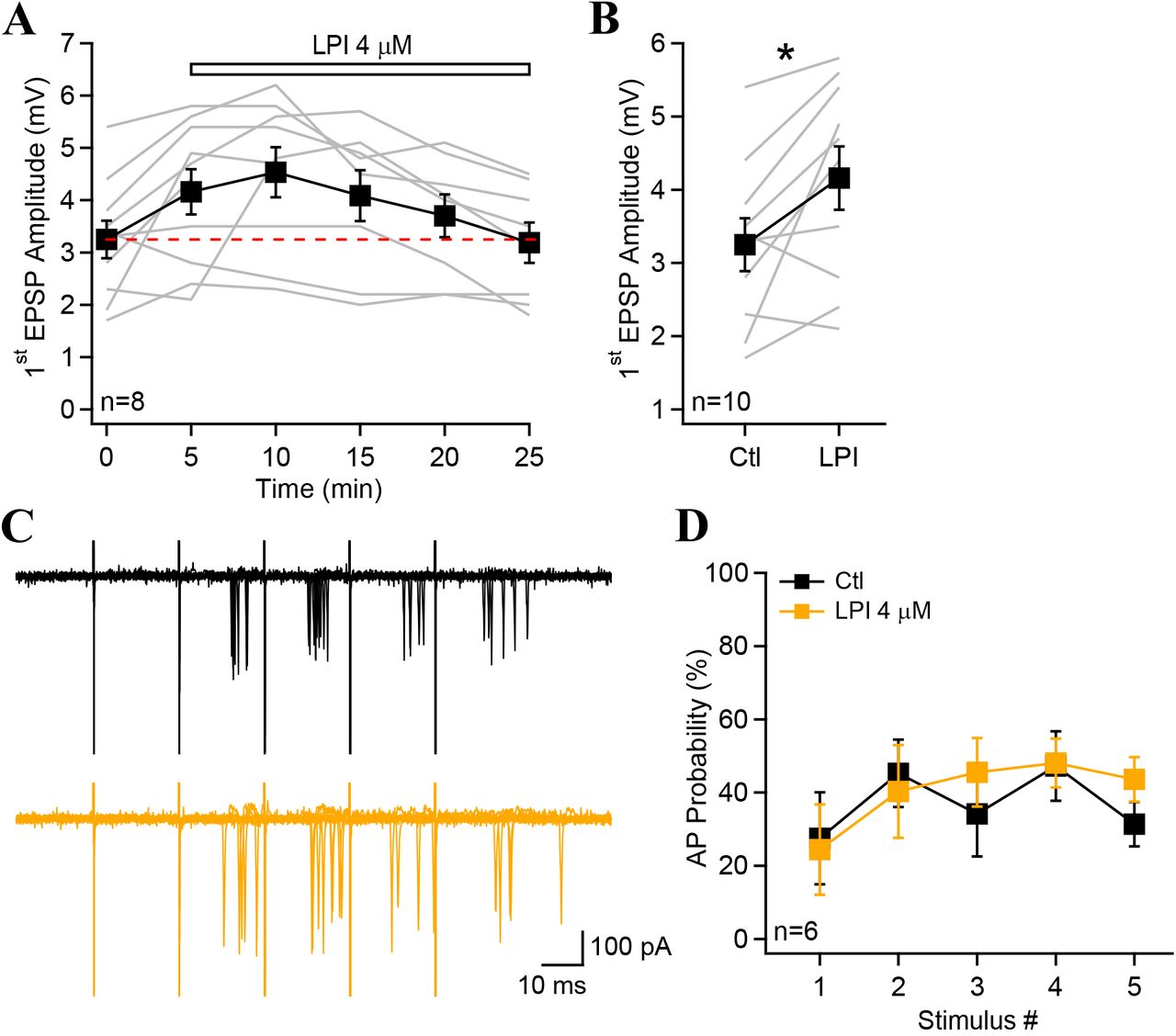 LPI transiently increase synaptic potentials.A, Amplitude of the first EPSP as a function of time. Bath application of LPI resulted in a transient increase in the EPSP amplitude that declined over time. B, The first EPSP amplitude was significantly increased by 5 minutes LPI application. C, Cell-attached recordings from a CA1 pyramidal cell during repetitive Schaffer collaterals stimulation (5X50 Hz) in control (black) and 20 minutes following LPI treatment. D, AP probability as a function of stimulus number for group data presented in G. Consistent with whole-cell current-clamp recordings, LPI had no long-lasting effect on the AP probability. Data points show mean ± SEM.