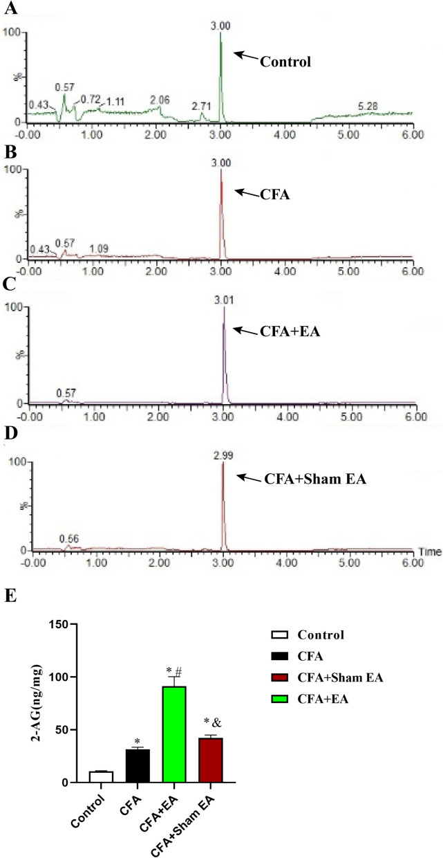 Effect of EA on 2-AG levels in the inflammatory skin tissue of the affected side of the dorsal hindpaw in mice. A–D The chromatogram of 2-AG in the skin tissue of affected side with dorsal hindpaw inflammation in the Control group, CFA group, CFA + EA group, and CFA + sham EA group. The arrow indicates the 2-AG peak. E A statistical histogram of the 2-AG levels. Data were expressed as mean ± SEM (n = 8). One-way ANOVA was used to analyze the data. *P < 0.05 compared with the Control group; #P < 0.05 compared with CFA group; &P < 0.05 compared with the CFA + EA group