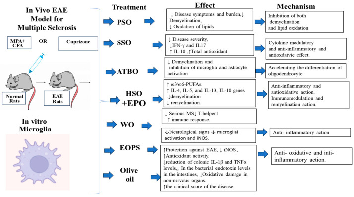A summary of plant oils used in the treatment of MS in vivo EAE model and in vitro microglia studies.