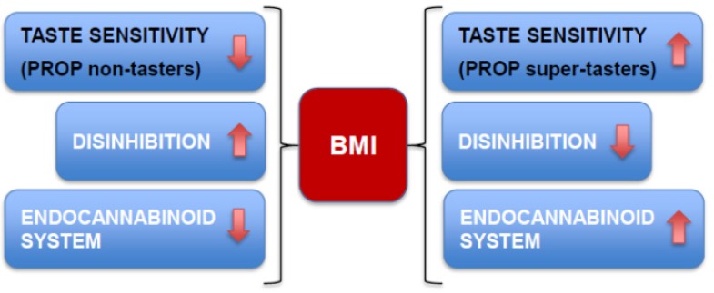 Graphic diagram showing a possible mechanism describing the interactions among the endocannabinoid system, disinhibition (loss of control over eating) and PROP taste sensitivity in the control of body weight. According to this mechanism, lower plasma levels of endocannabinoids may counteract overeating in disinhibited, non-tasters, restoring food intake and body weight to normal limits. In super-tasters with low disinhibition, higher levels of endocannabinoids may be associated with normal regulation of food intake and body weight. This mechanism may explain why some non-tasters maintain normal BMIs despite the tendency for hedonic overeating in such individuals.