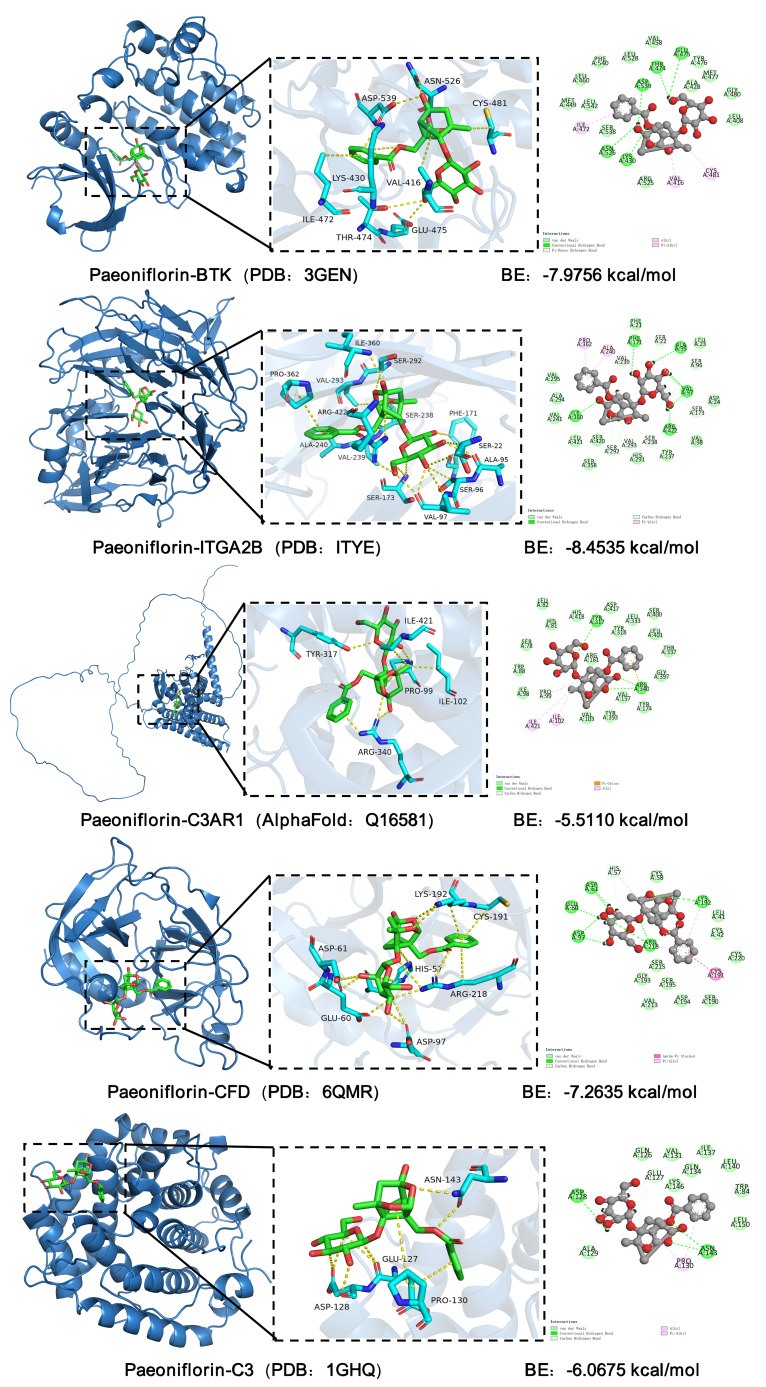 Molecular Docking Results of Paeoniflorin with C3, Cfd, C3aR, BTK, and ITGA2B/ITGB3.